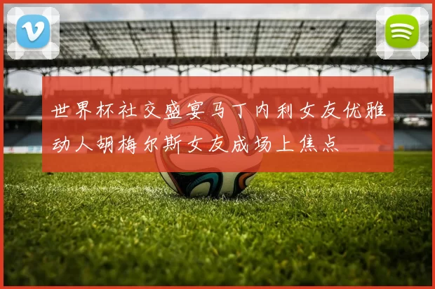 世界杯社交盛宴马丁内利女友优雅动人胡梅尔斯女友成场上焦点