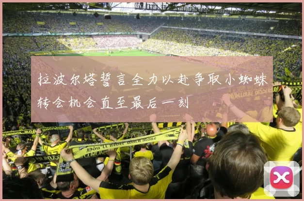 拉波尔塔誓言全力以赴争取小蜘蛛转会机会直至最后一刻
