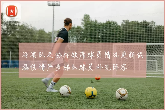 海港队足协杯缺席球员情况更新武磊伤情严重梯队球员补充阵容