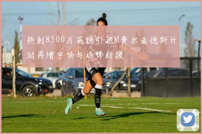 热刺8500万英镑引进M费尔南德斯计划再增中场与边锋新援