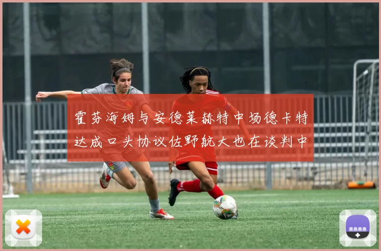 霍芬海姆与安德莱赫特中场德卡特达成口头协议佐野航大也在谈判中